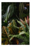 Tablou Canvas, "Diversitate de plante tropicale luxuriante", Frunze, Verde, Colorat, Natură, Dungi, Tropical, Vegetație, Luxuriant, &Icirc;ntunecat, Vibrant