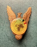 Insigna Primul Cosmonaut Roman 1981