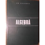 ALGEBRA-GH. GALBURA-337697