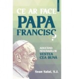 Ce ar face Papa Francisc? Aducand nevoiasilor vestea cea buna - Sean Salai S.J.