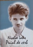 Puiul de cerb - Nicolae Labis - Poezie rom&acirc;nească - Editura Universității Suceava - 2008 - 72 pagini