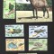 cuba animale mnh