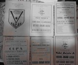Programe handbal si volei