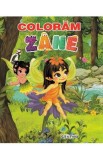 Coloram zane, Autor Anonim