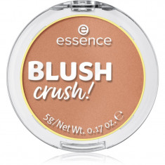 Essence BLUSH crush! blush culoare 10 Caramel Latte 5 g