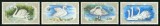 Mongolia 1988 - Seria Completă Lebede Protejate (Swans / Cygnus) 4 Valori MNH -MNG1