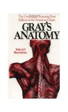 Gray&#039;s Anatomy | Henry Gray