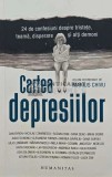 Cartea depresiilor - 2024 - Marius Chivu (AQ122)