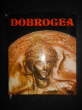 ION MICLEA - DOBROGEA. ALBUM (1978, editie cartonata)