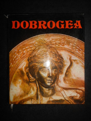 ION MICLEA - DOBROGEA. ALBUM (1978, editie cartonata) foto