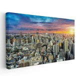 Tablou vedere panoramica Tokyo la apus Tablou canvas pe panza CU RAMA 70x140 cm