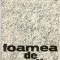 Foamea de spatiu - Eugen Barbu