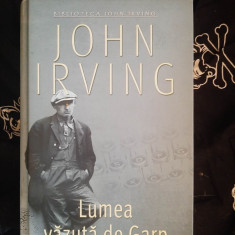 John Irving - Lumea vazuta de Garp