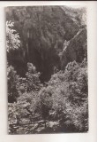 RF175 - Carte Postala - Salciua. Pestera lui Papara. circulata 1968