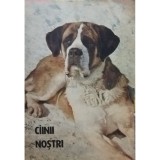 Zoe Dumitrescu-Busulenga - Cainii nostri, NR. 5 ANUL AL IX-LEA