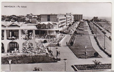 bnk cp Mangalia - Pe faleza - uzata foto