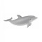 Figurina Pui de Delfin Bottlenose S Collecta