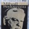 PE URMELE LUI MIHAIL SADOVEANU-DAN MANUCA-223051