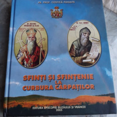 SFINTI SI SFINTENIE LA CURBURA CARPATILOR - COSTICA PANAITE