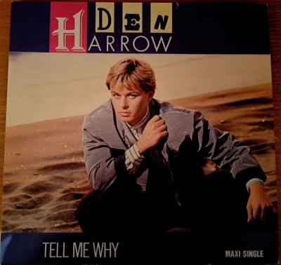 Disc Vinil Maxi Den Harrow - Day By Day - Baby Records - 208 110 foto