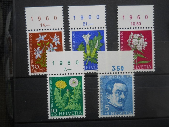 SERIE ELVETIA