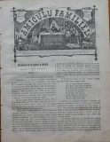 Ziarul Amiculu familiei , an 4 , nr. 30 , Gherla , 1880 , Iacob Negruzzi