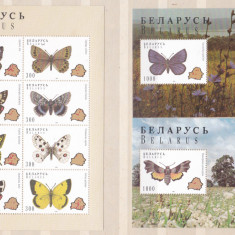 DB1 Fauna Fluturi Belarus MS + 2 SS MNH