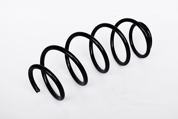 Arc Suspensie Fata 65909 SR.059