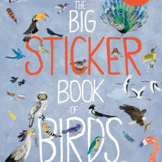The Big Sticker Book of Birds (Sticker Books) | Yuval Zommer