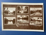 Carte Postala - Craiova Parcul Romanescu, Necirculata, Fotografie
