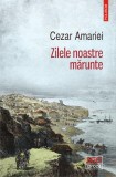 Zilele noastre mărunte - Paperback brosat - Cezar Amariei - Polirom