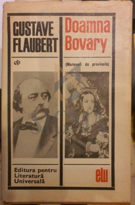 DOAMNA BOVARY foto