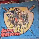 Soimii Moldovei - Radu Theodoru