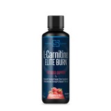 Sirenlabs L-carnitine Elite Burn, L-carnitina Lichida, Cu Aroma De Capsuni, 480