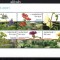 OLANDA 2001, Flora, serie neuzata, MNH