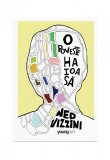 O poveste haioasă - Ned Vizzini