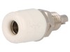 Soclu banană 4mm alb nichelat pe panou 32A 60VDC