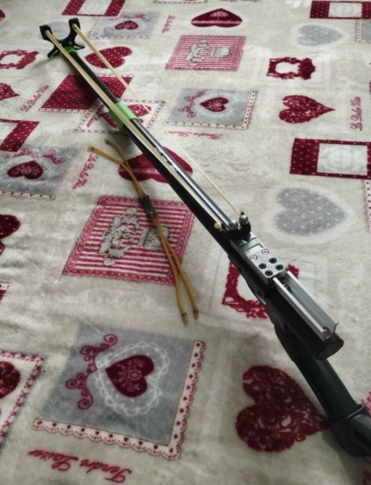 Prastie profesională