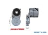 Rola intinzatoare curea alternator Audi A6 (1997-2001) [4B, C5] #1