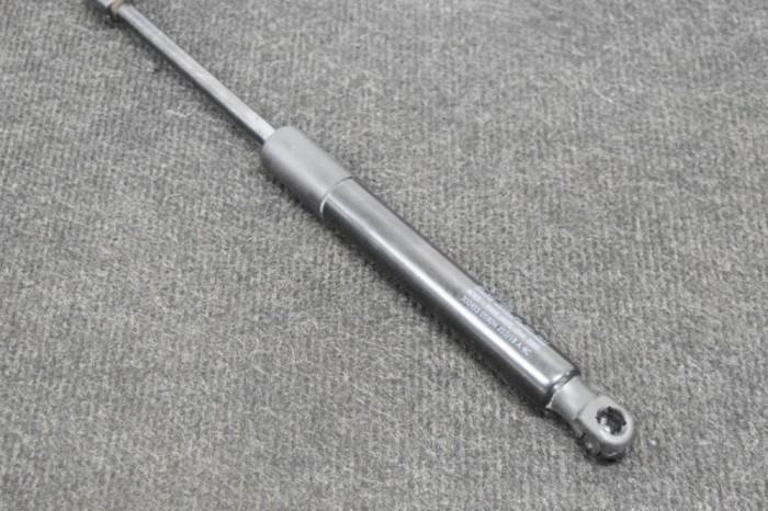Amortizor haion st&acirc;nga TESLA MODEL 3 2018 OEM: 1091560-00-B 11260838