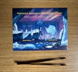 Protejați Regiunile Polare și Ghețarii, bloc numerotat cu negru 2009 LP 1829a