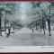 Allea Lacul Sarat-Salutari din Braila,animatie-perf.-C.P.circ.-RARA