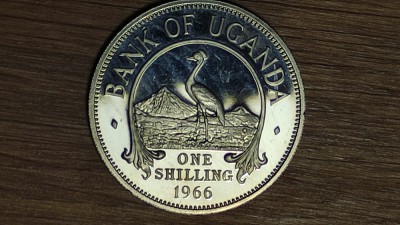 Uganda - bijuterie de moneda exotica - 1 shilling 1966 PROOF - tiraj 8250 - absolut superba ! foto