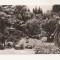 RF36 -Carte Postala- Cluj, Gradina Botanica, circulata 1966