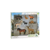 Set de 8 figurine pictate manual Animale din padure, Collecta