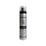 Diamex Parfum Hollywood - 100 ml