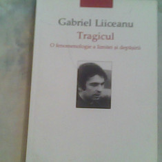 Tragicul-Gabriel Liiceanu