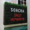 Soacra - Sally Hepworth