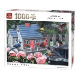 Puzzle 1000 piese Colorful birds