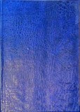 Judo, Jiu-Jitsu, Karate: Lupta Corp la Corp - I. Enache, Uz Intern, Hardcover, 511 Pagini, 197x